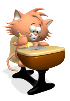 Testing Cat